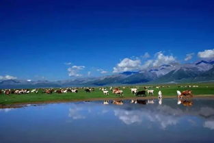 去賽里木湖別只拍照,環(huán)湖騎車 坐直升機(jī) 乘熱氣球 想怎么玩就怎么玩