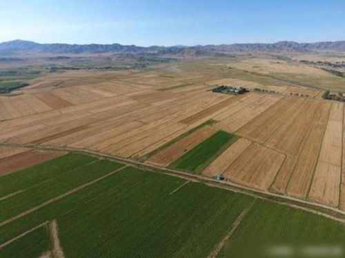 無人機鏡頭下的新疆環(huán)保 建設(shè)與發(fā)展中的生態(tài)保護